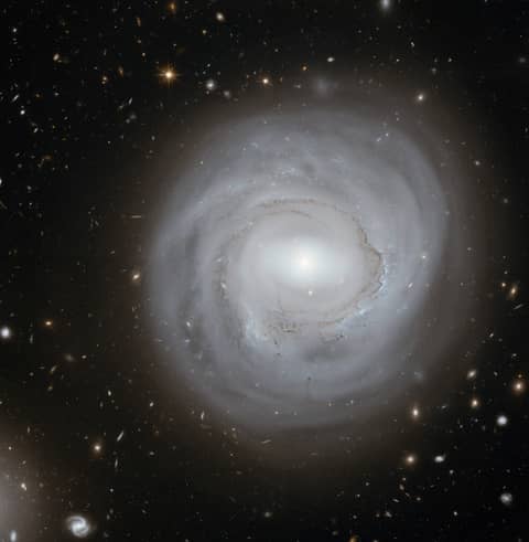 Anemic Galaxy NGC 4921 at the Edge