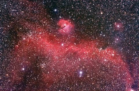 The Seagull Nebula