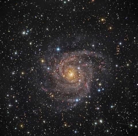 Hidden Galaxy IC 342