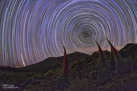 Star Trails and Tajinastes