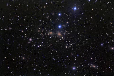 The Coma Cluster of Galaxies