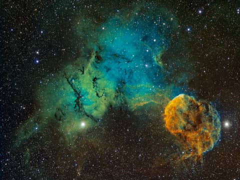 The Elusive Jellyfish Nebula