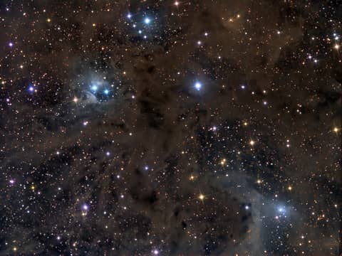 Stardust in Aries