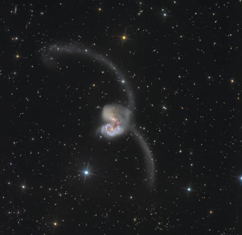 The Antennae