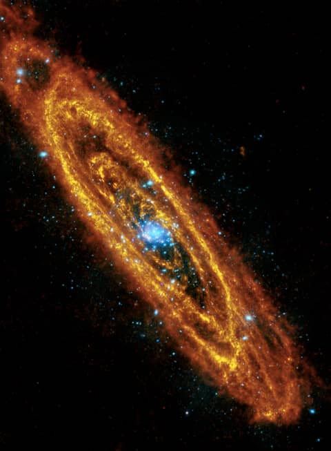 The Once and Future Stars of Andromeda