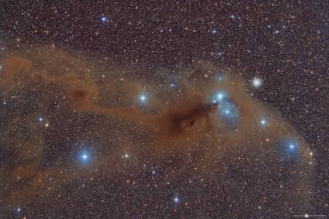 Stars and Dust Across Corona Australis
