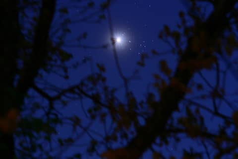 ConjunctionHaiku