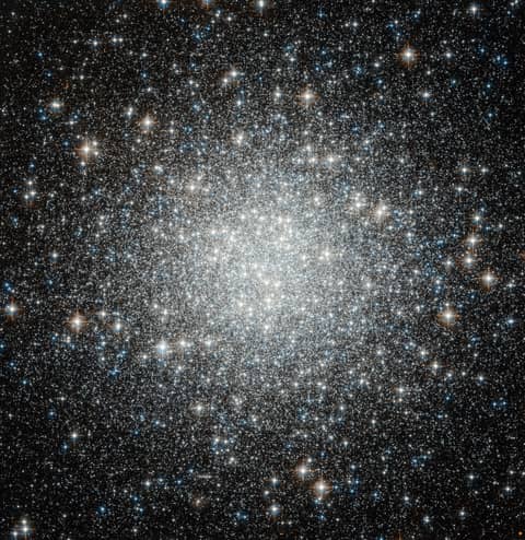 Blue Straggler Stars in Globular Cluster M53