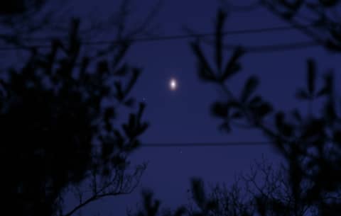 An Unusual Venusian Oval