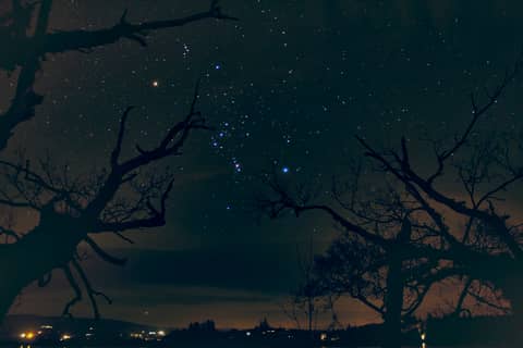 The Hunter's Stars