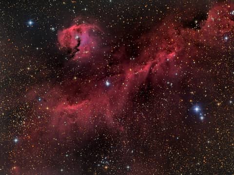 The Seagull Nebula