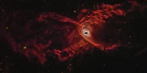 The Red Spider Planetary Nebula