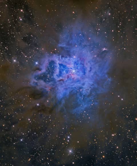 NGC 7023: The Iris Nebula