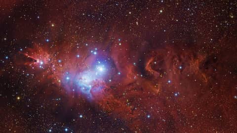 In the Vicinity of the Cone Nebula