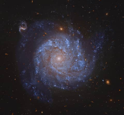 NGC 1309: Spiral Galaxy and Friends