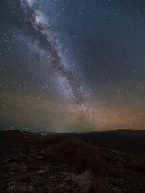 Delphinid Meteor Mystery