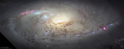 M106 Close Up