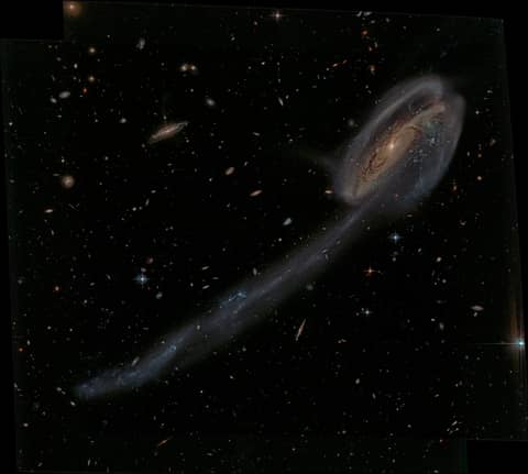 Arp 188 and the Tadpole's Tail