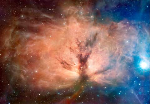 The Flame Nebula in Visible and Infrared