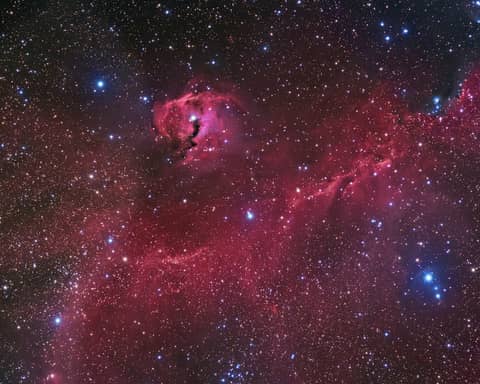 The Seagull Nebula