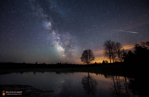 Halley Dust and Milky Way