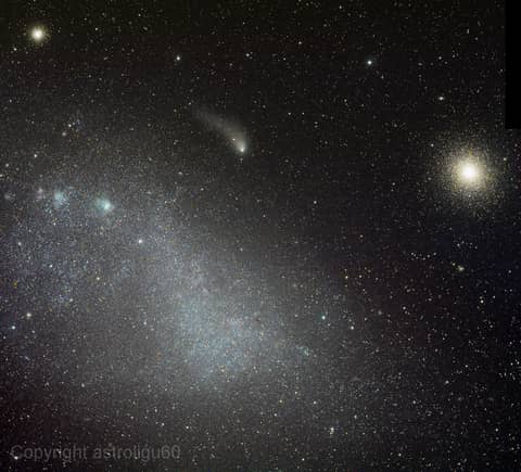 Cloud, Clusters and Comet Siding Spring