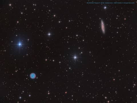 The Owl and the Galaxy