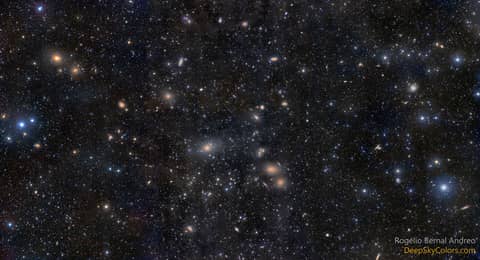 Virgo Cluster Galaxies