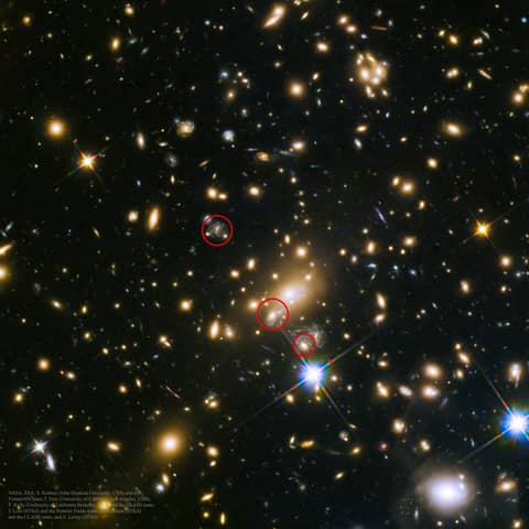 SN Refsdal: The First Predicted Supernova Image