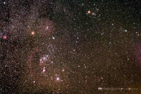 The Hunter, the Bull, and Lovejoy
