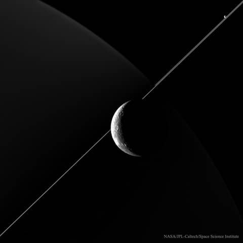 In the Company of Dione