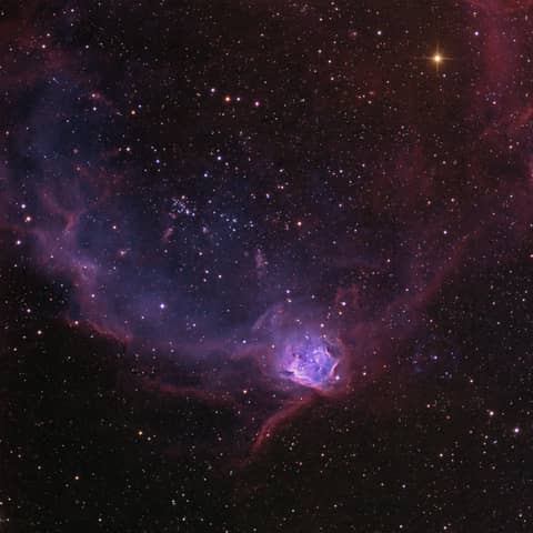 NGC 602 in the Flying Lizard Nebula