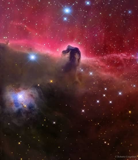 The Magnificent Horsehead Nebula