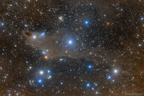 The Shark Nebula
