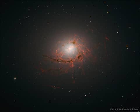NGC 4696: Filaments around a Black Hole