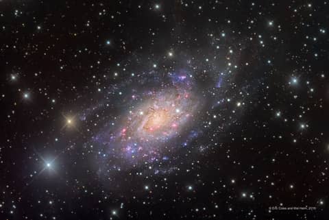 NGC 2403 in Camelopardalis