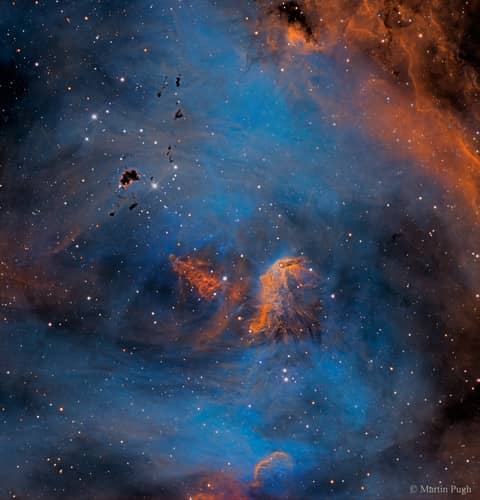 Stars and Globules in the Running Chicken Nebula