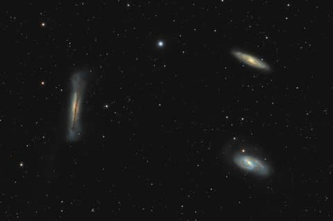 Leo Trio