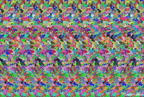 The Holographic Principle