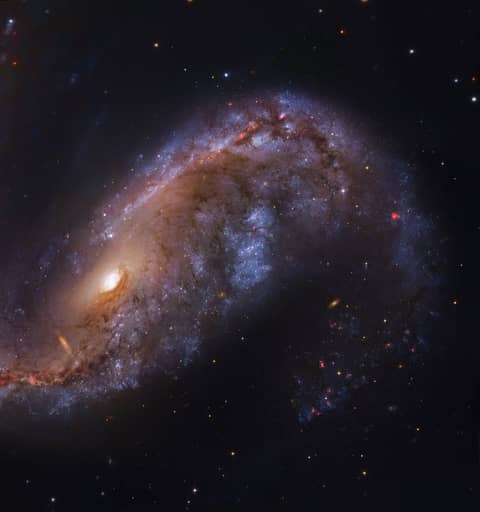 NGC 2442: Galaxy in Volans