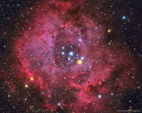 The Rosette Nebula