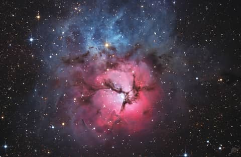 A Beautiful Trifid