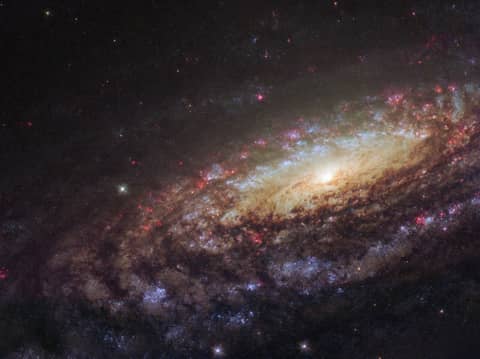 NGC 7331 Close-Up