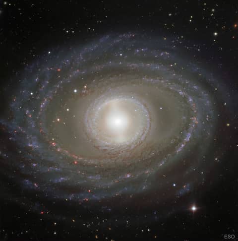 Ribbons and Pearls of Spiral Galaxy NGC 1398