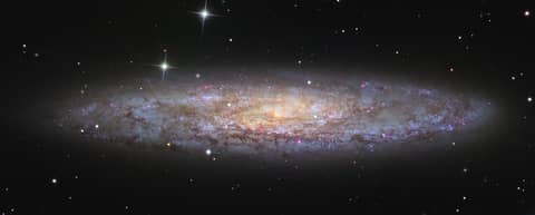 NGC 253: Dusty Island Universe