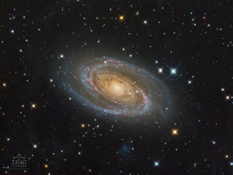 Messier 81