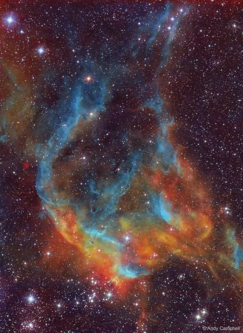 Stars, Dust, and Gas near NGC 3572