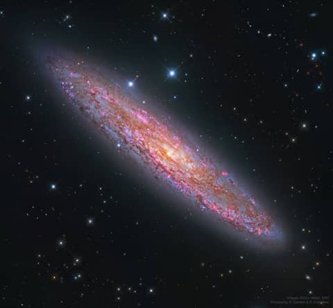 NGC 253: The Silver Coin Galaxy