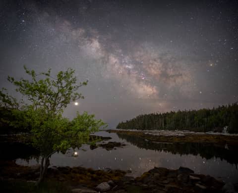 The Galaxy, the Planet, and the Apple Tree