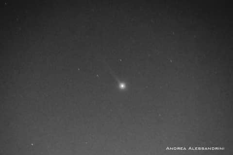 Mercury's Sodium Tail